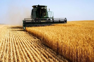 Tarım Sigortalılığı