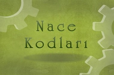 Faaliyet (Nace) Kodları Nelerdir ?