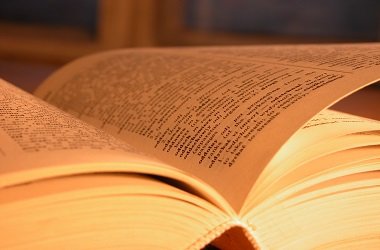 İşletmelerde Finansal Risklerin Önlenmesinde Çalışma Sermayesi Yönetiminin Rolü